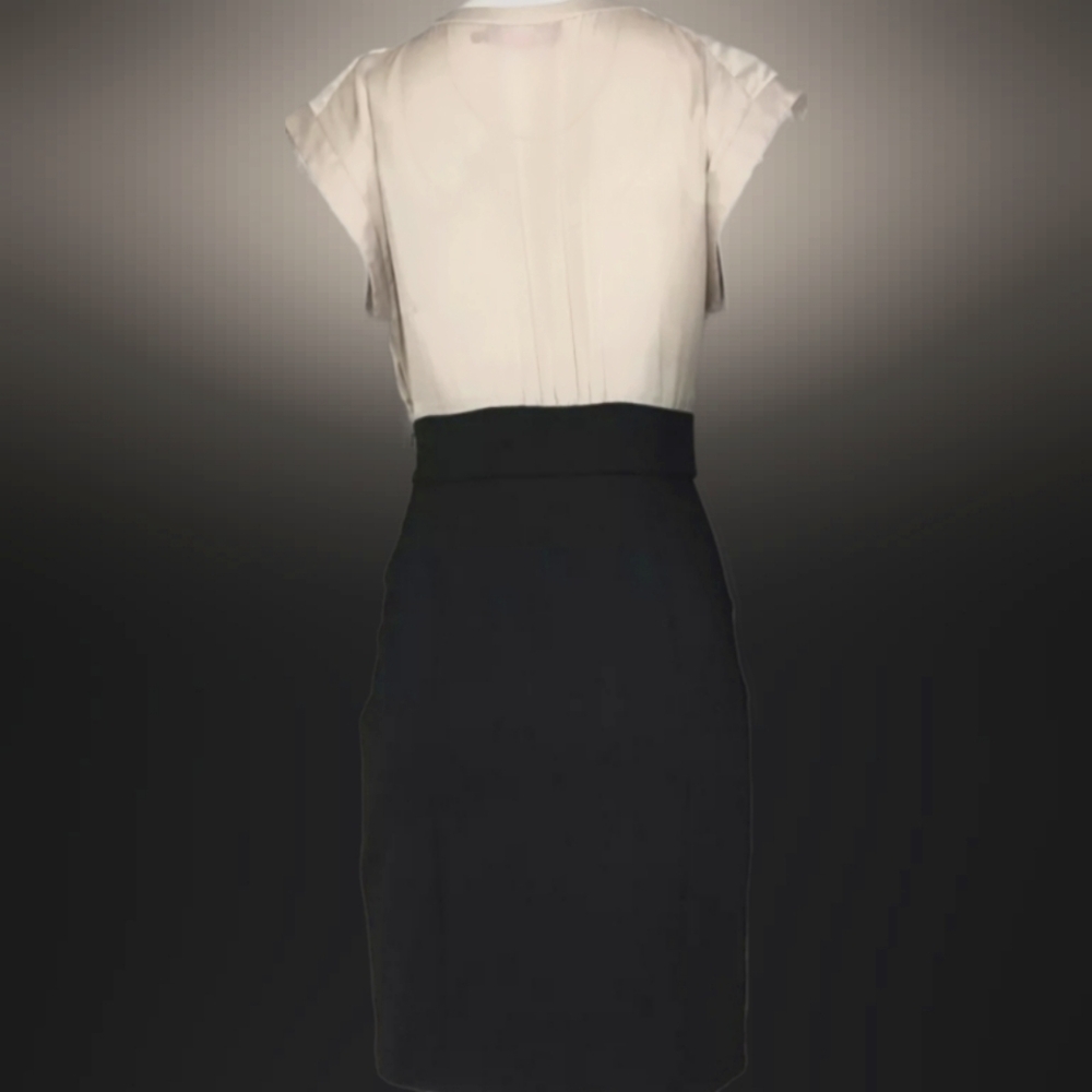 ❤Elijah J New York Color Block Sheat Dress - Picture 4 of 4